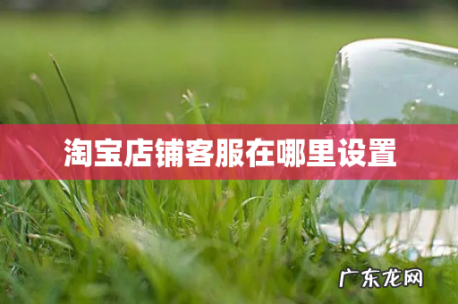 淘宝店铺客服在哪里设置