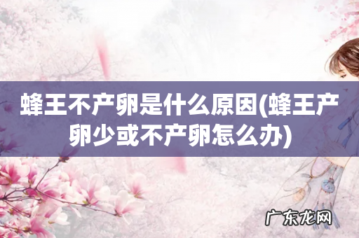 蜂王产卵少或不产卵怎么办 蜂王不产卵是什么原因