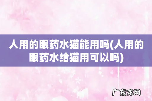 人用的眼药水给猫用可以吗 人用的眼药水猫能用吗
