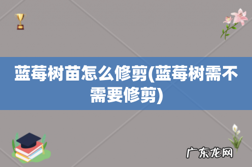 蓝莓树需不需要修剪 蓝莓树苗怎么修剪