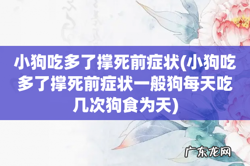 小狗吃多了撑死前症状一般狗每天吃几次狗食为天 小狗吃多了撑死前症状