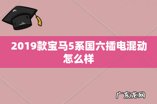 2019款宝马5系国六插电混动怎么样
