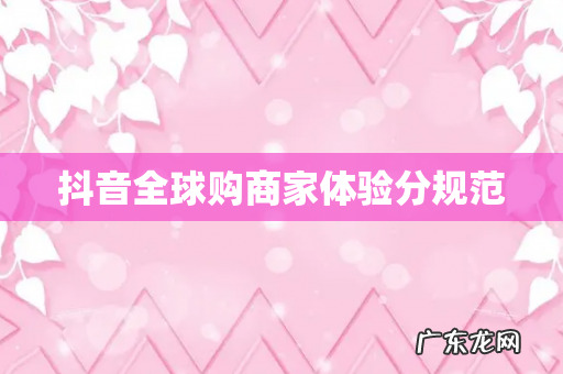 抖音全球购商家体验分规范