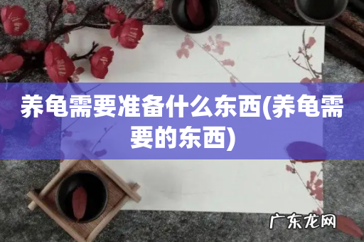 养龟需要的东西 养龟需要准备什么东西