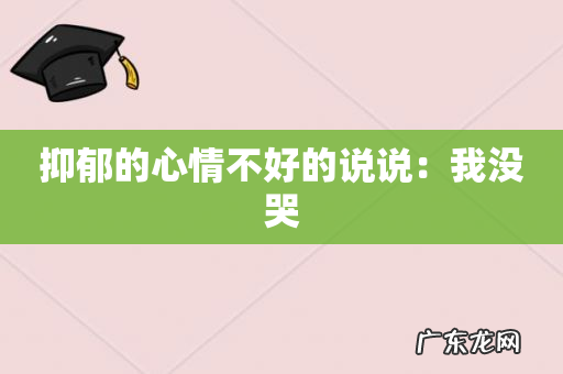 抑郁的心情不好的说说:我没哭