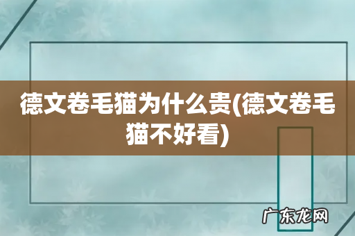 德文卷毛猫不好看 德文卷毛猫为什么贵