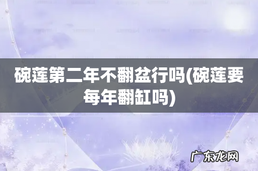 碗莲要每年翻缸吗 碗莲第二年不翻盆行吗