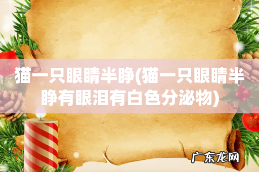 猫一只眼睛半睁有眼泪有白色分泌物 猫一只眼睛半睁