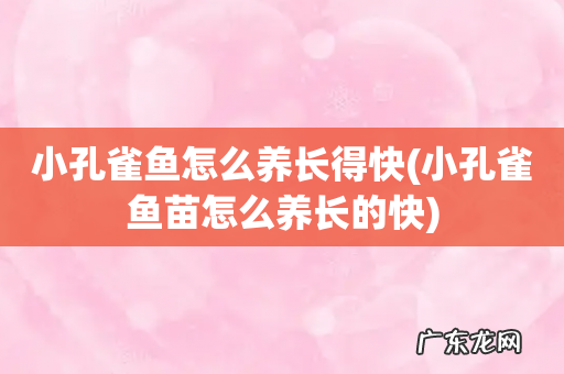 小孔雀鱼苗怎么养长的快 小孔雀鱼怎么养长得快