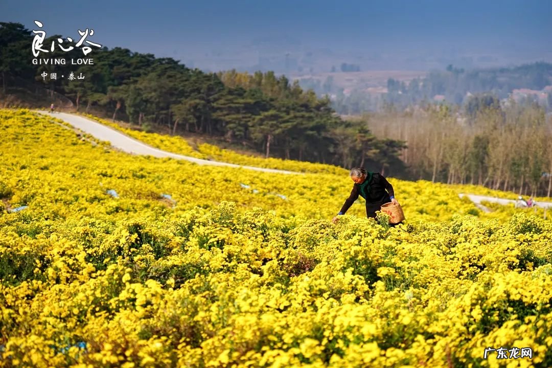 新泰风景最全图片 新泰风景图
