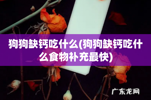 狗狗缺钙吃什么食物补充最快 狗狗缺钙吃什么