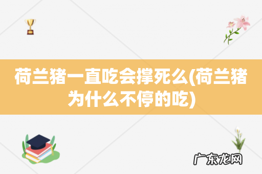 荷兰猪为什么不停的吃 荷兰猪一直吃会撑死么