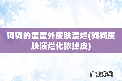 狗狗皮肤溃烂化脓掉皮 狗狗的蛋蛋外皮肤溃烂
