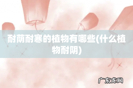 什么植物耐阴 耐荫耐寒的植物有哪些