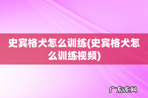 史宾格犬怎么训练视频 史宾格犬怎么训练