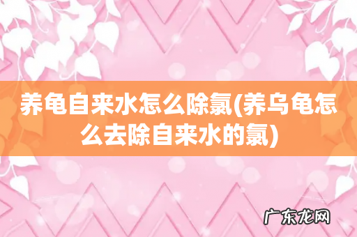 养乌龟怎么去除自来水的氯 养龟自来水怎么除氯