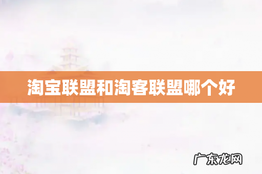 淘宝联盟和淘客联盟哪个好