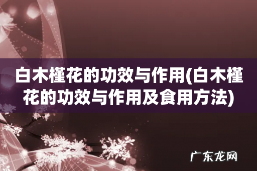 白木槿花的功效与作用及食用方法 白木槿花的功效与作用