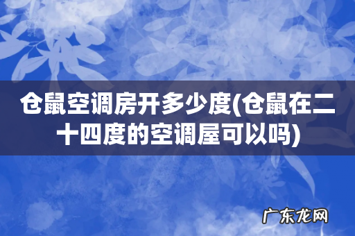 仓鼠在二十四度的空调屋可以吗 仓鼠空调房开多少度