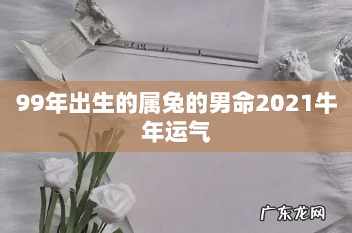 99年出生的属兔的男命2021牛年运气