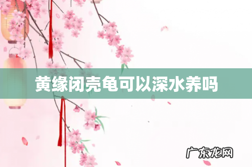 黄缘闭壳龟可以深水养吗