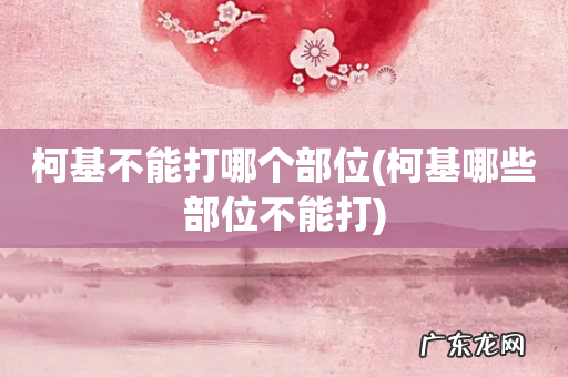柯基哪些部位不能打 柯基不能打哪个部位