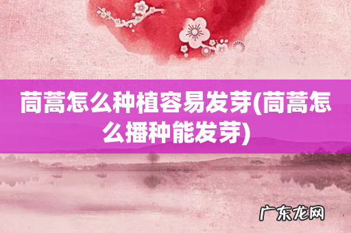 茼蒿怎么播种能发芽 茼蒿怎么种植容易发芽