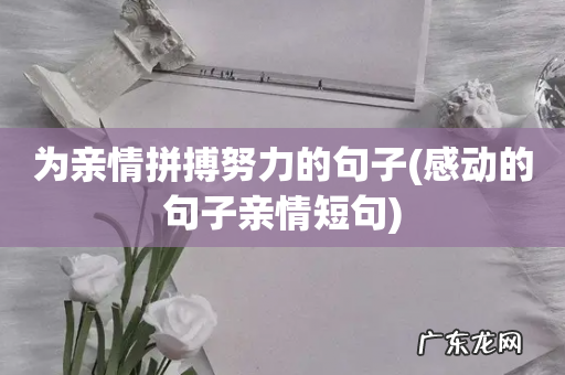 感动的句子亲情短句 为亲情拼搏努力的句子