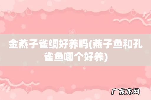 燕子鱼和孔雀鱼哪个好养 金燕子雀鲷好养吗