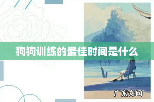 狗狗训练的最佳时间是什么