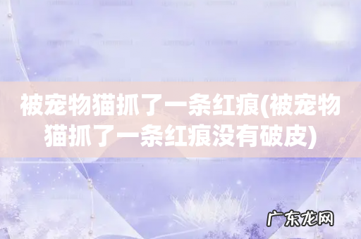 被宠物猫抓了一条红痕没有破皮 被宠物猫抓了一条红痕