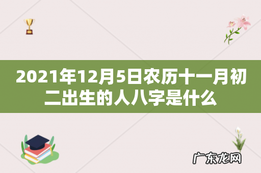 2021年12月5日农历十一月初二出生的人八字是什么
