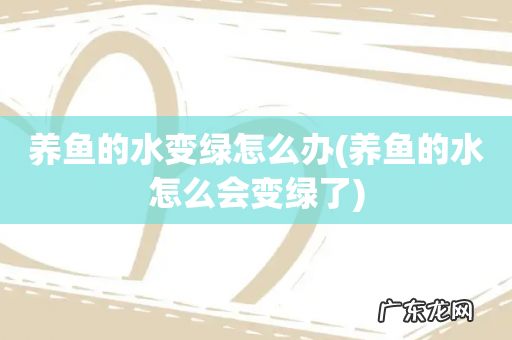 养鱼的水怎么会变绿了 养鱼的水变绿怎么办