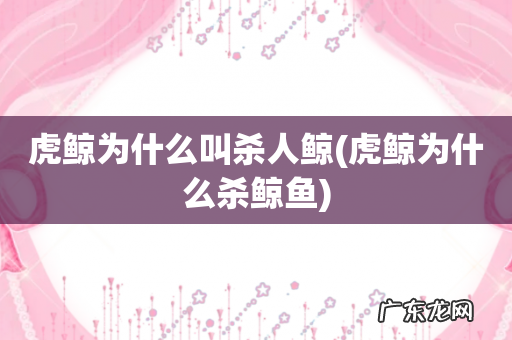 虎鲸为什么杀鲸鱼 虎鲸为什么叫杀人鲸