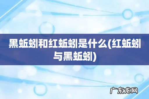 红蚯蚓与黑蚯蚓 黑蚯蚓和红蚯蚓是什么