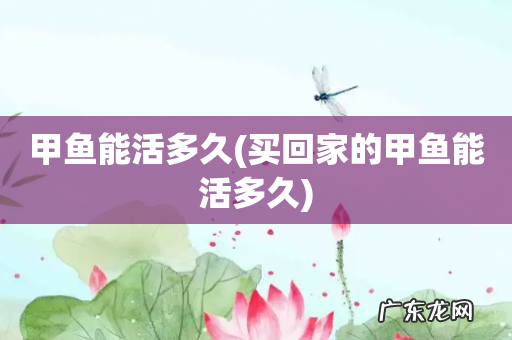 买回家的甲鱼能活多久 甲鱼能活多久