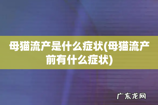 母猫流产前有什么症状 母猫流产是什么症状