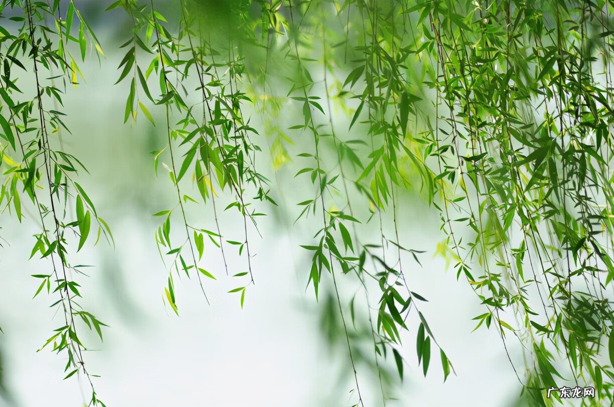 窗外见山风水好不好 房屋门前有山的风水