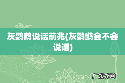 灰鹦鹉会不会说话 灰鹦鹉说话前兆