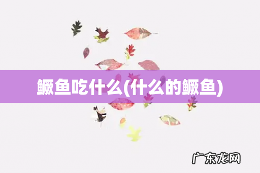 什么的鳜鱼 鳜鱼吃什么