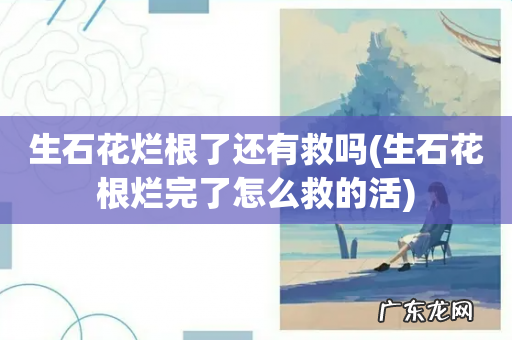 生石花根烂完了怎么救的活 生石花烂根了还有救吗