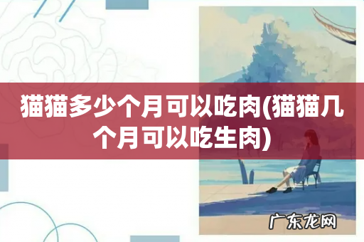 猫猫几个月可以吃生肉 猫猫多少个月可以吃肉