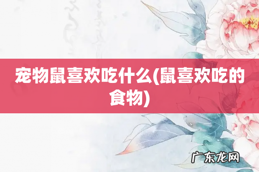 鼠喜欢吃的食物 宠物鼠喜欢吃什么