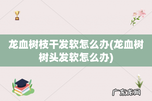 龙血树树头发软怎么办 龙血树枝干发软怎么办