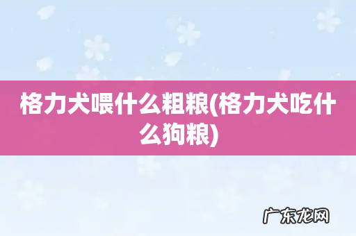 格力犬吃什么狗粮 格力犬喂什么粗粮