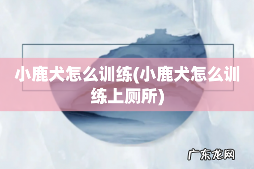小鹿犬怎么训练上厕所 小鹿犬怎么训练