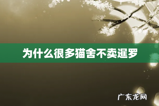 为什么很多猫舍不卖暹罗