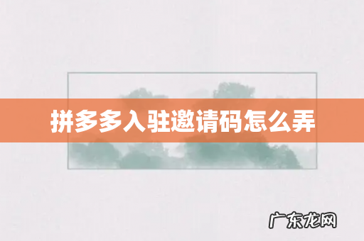 拼多多入驻邀请码怎么弄