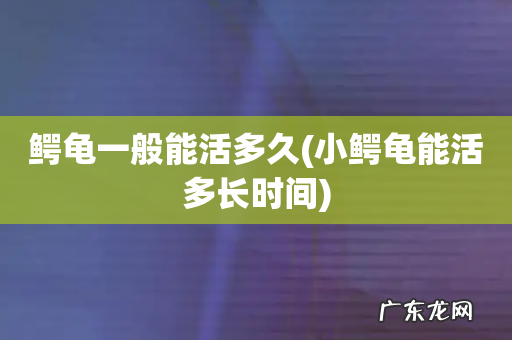 小鳄龟能活多长时间 鳄龟一般能活多久
