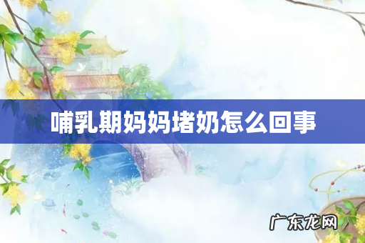 哺乳期妈妈堵奶怎么回事